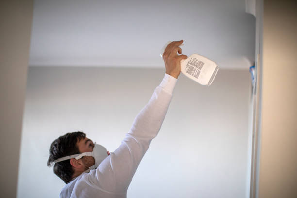 Best Health and Safety Mold Remediation in East Hemet, CA